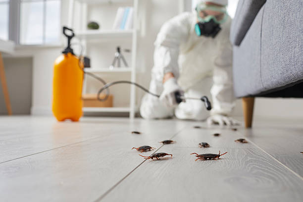 Post-Treatment Bed Bug Interceptor Monitoring in Port Carbon