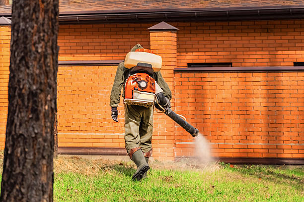 Bed Bug Clearance Verification and Documentation in Port Carbon